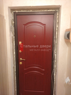 Фото двери №87